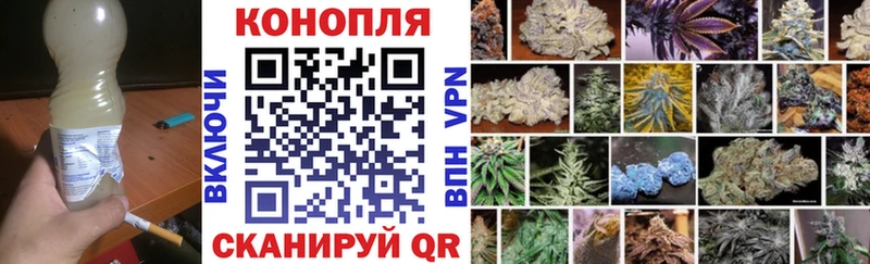 Бошки Шишки Лакинск
