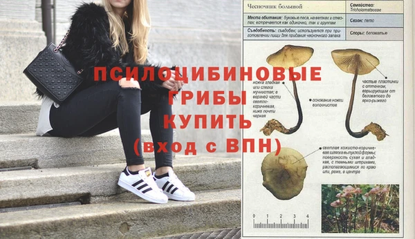 ГАЛЛЮЦИНОГЕННЫЕ ГРИБЫ Абдулино