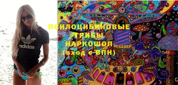 ГАЛЛЮЦИНОГЕННЫЕ ГРИБЫ Абдулино