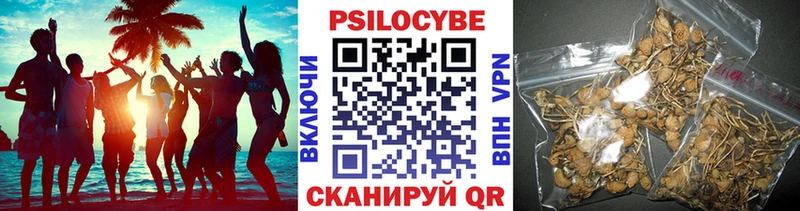 Галлюциногенные грибы Psilocybine cubensis  Лакинск 